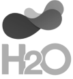 h2O-2